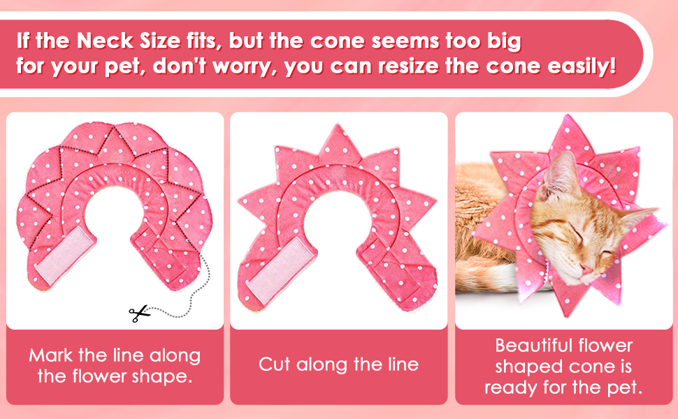 Meric and SunGrow Recovery Cone for Cats, rabbits and dogs