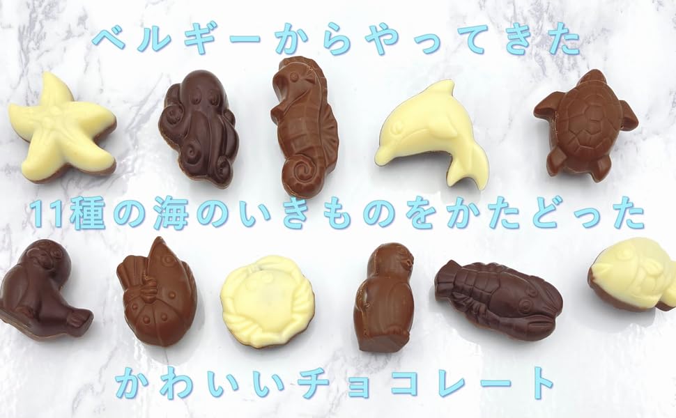 Amazon.co.jp: SEA LIFE BUDDIES ベルギー チョコレート 11種の海の