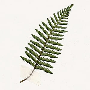 Small manufacture image 5