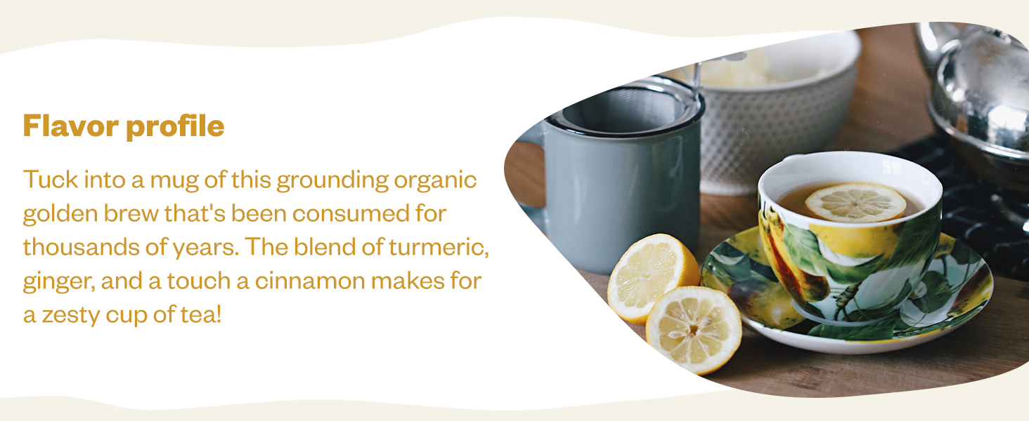 FGO Organic Turmeric Ginger Tea, Eco-Conscious Tea Bags, 100 Count, Packaging May Vary (Pack of 1)