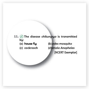 Self Practice Questions from Educart Class 12 Biology Question Bank