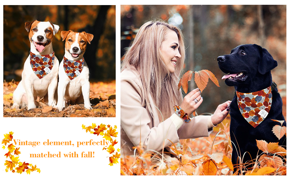 EClover Fall Dog Collar Bandana & Matching Scrunchie Set