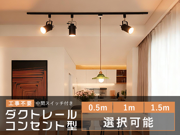 Amazon.co.jp: 共同照明 ダクトレール コンセント 0.5m スイッチ付き