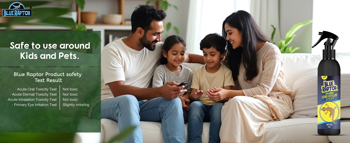 Infuse your home's interior or exterior with a refreshing