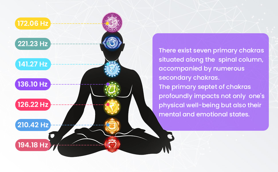 7 Chakra+1 Soul Purpose Weighted Tuning Forks Set