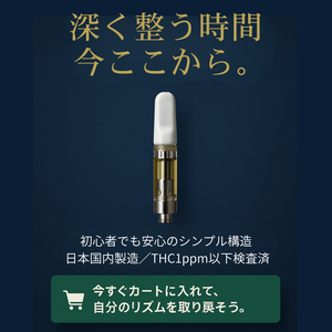 ❤️ナイト（夜）専用❤️ CBNリキッド1ml / KING SEXY ❤️ナイト（夜）専用❤️ CBNリキッド1ml / KING SEXY Amazon