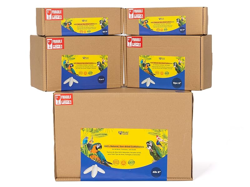 cuddle bones for birds, bird beak grinding stone, cuttlebone for tortoise, cuttlebone for snails