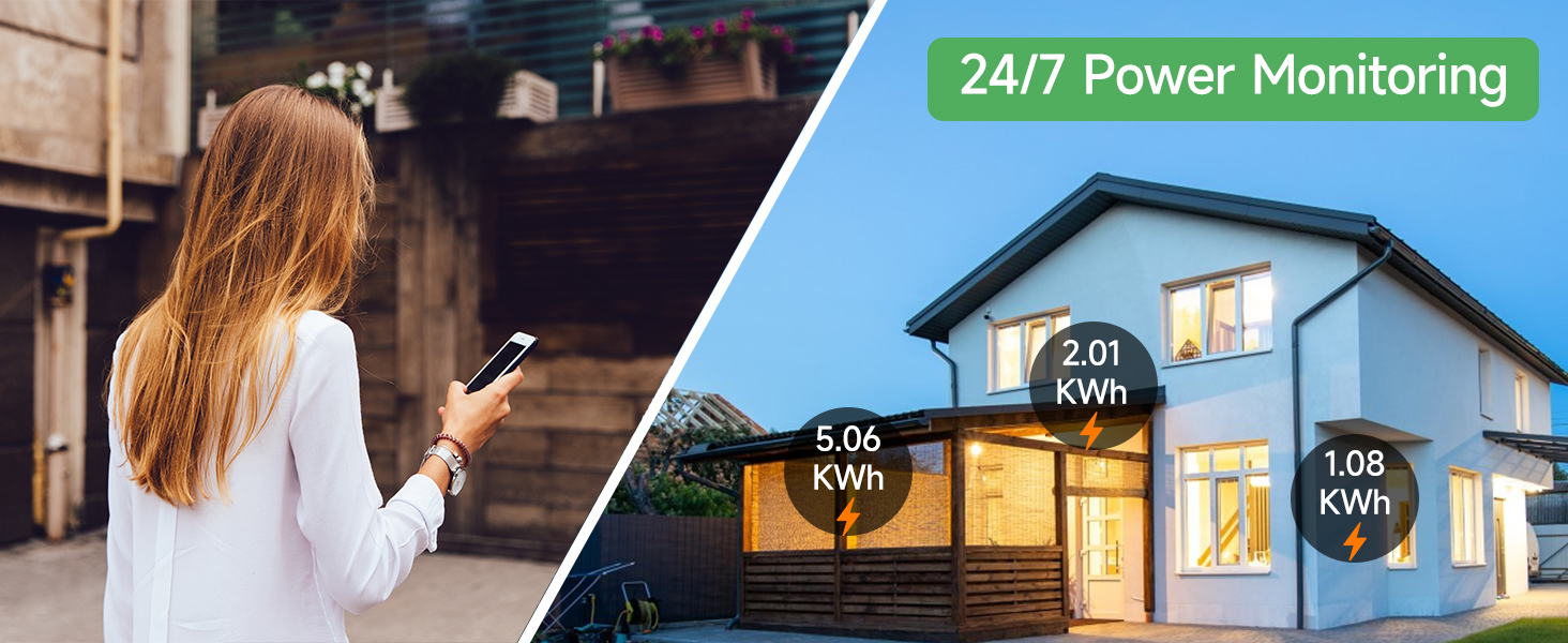 energy monitor