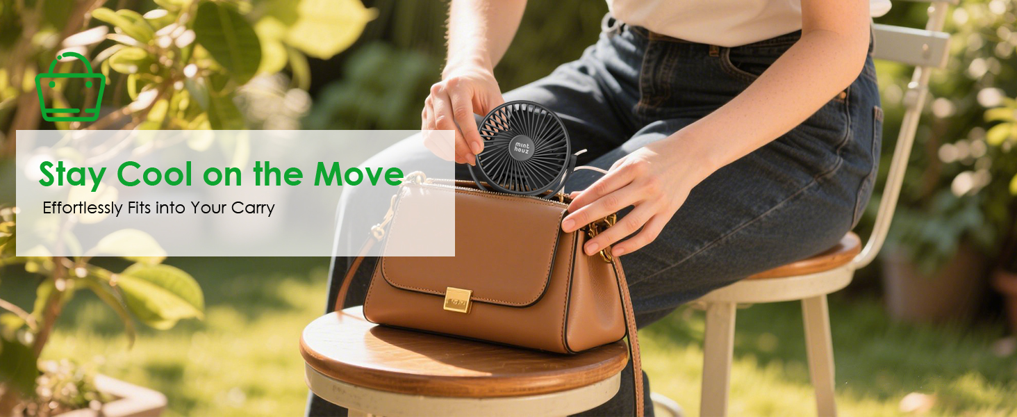 Desk Fan