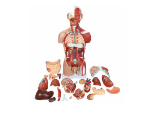 Small manufacture image 10