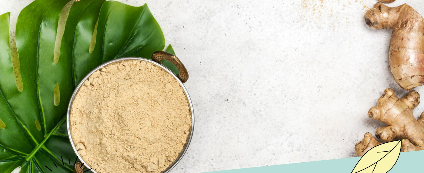 Ginger powder - Alpi Nature