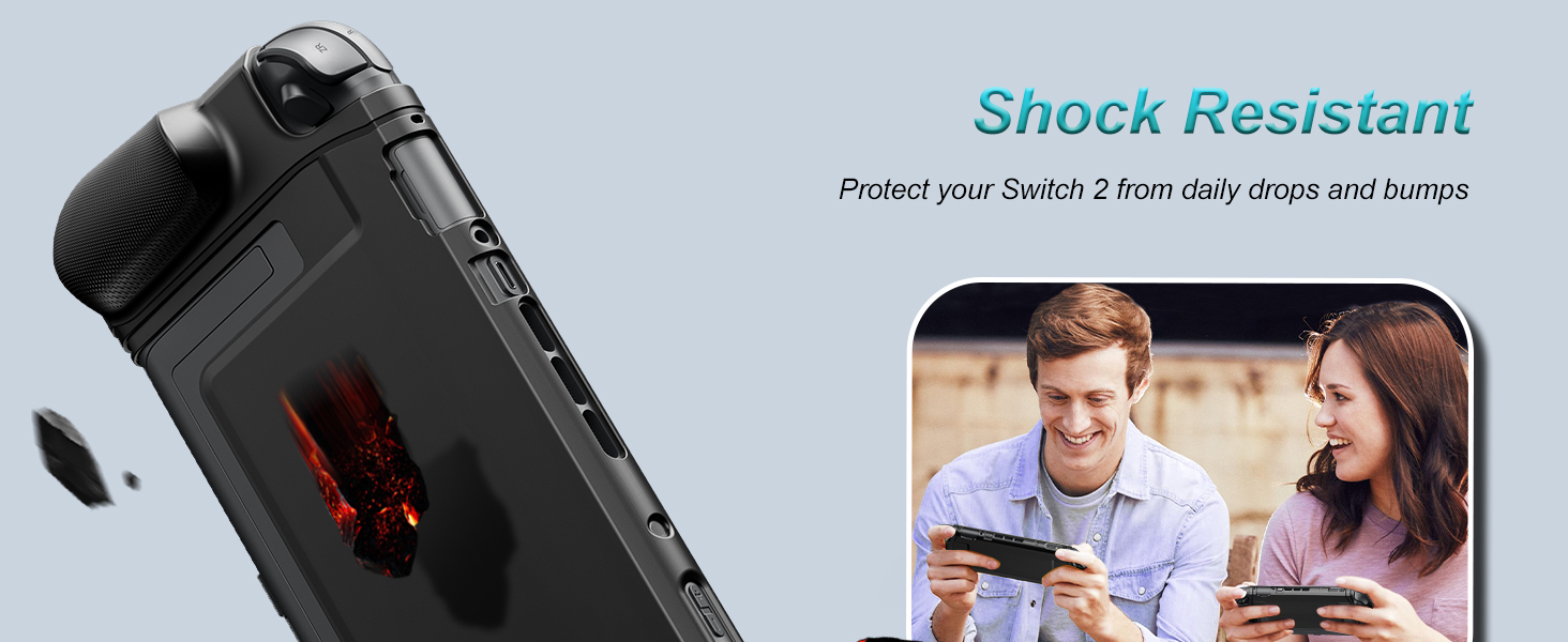 switch 2 dockable case