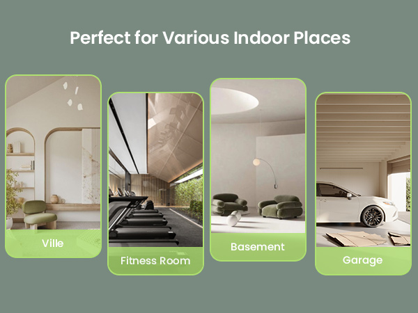 Perfect for Various Indoor Places