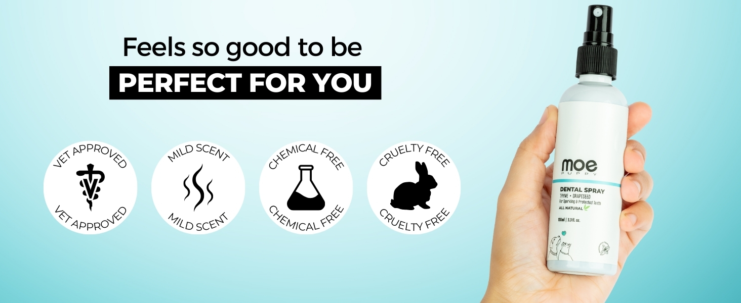 Moe dental spray is perfect for you, its vet approved, cruelty free, mild scent, dog dental spray