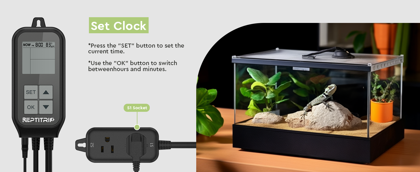 REPTITRIP Reptile Thermostat, Reptile Light Timer for Temperature and Lighting