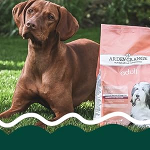 Small manufacture image 17