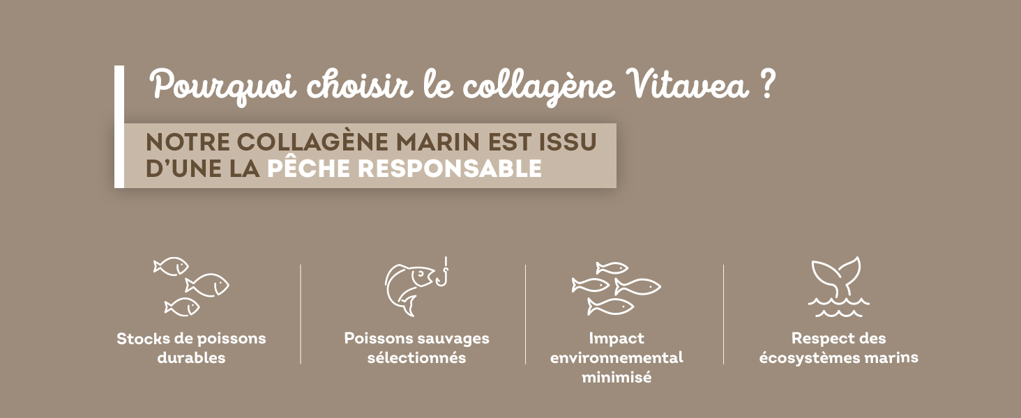 collagene marin poudre