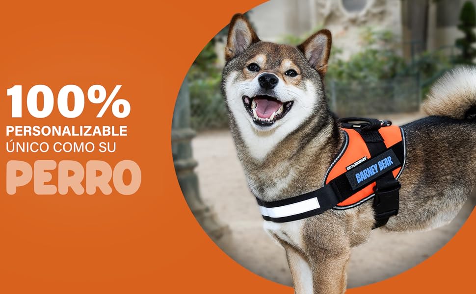 Pack of 2 Tactical Dog Harness Tags - 2 Self-Gripping Patches Compatible with Julius, OneTigris, Rabbitgoo... Original Safety Accessory (11 x 3 cm) 8 Canicaprice