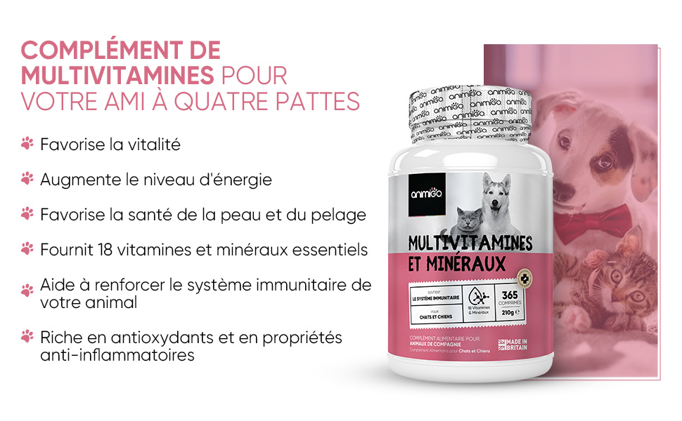 Multivitamines en poudre