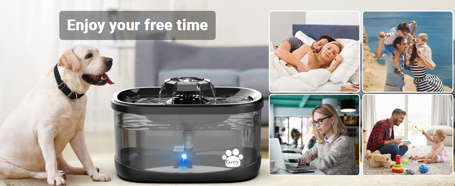 pet fountain