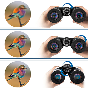 binoculars for adults