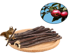 Bunny Chew Stick Rabbit Toy Treat  Molar Stuff Organic Natural  Apple Branch Sweet Bamboo Timothy 