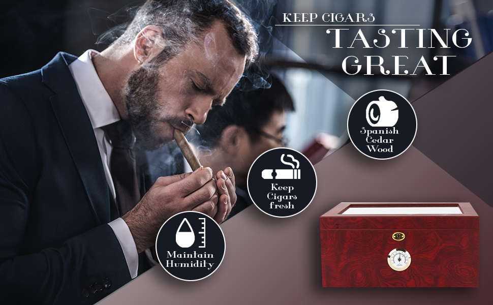 Mantello Cigars Large Glasstop Cigar Humidor Humidifier Box for Up to