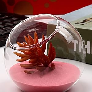 planter terrariums