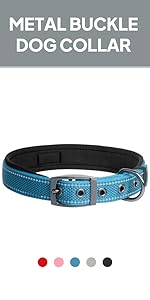 Metal Buckle Dog Collar