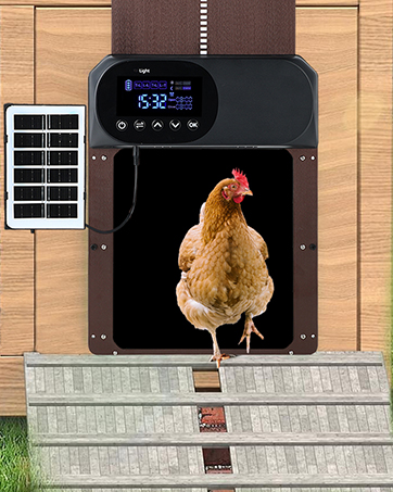 automatic chicken door