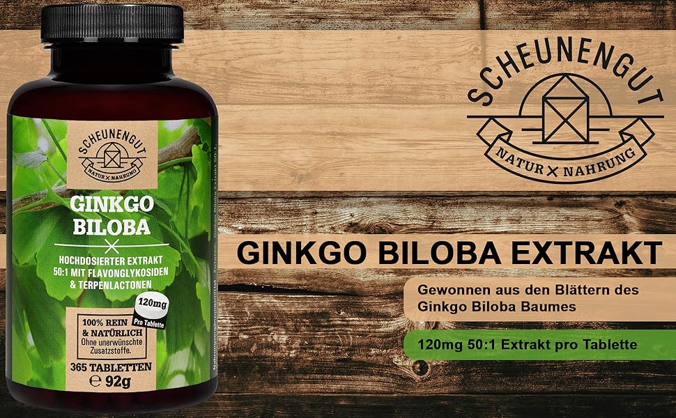 Ginkgo Biloba - 365 Tabletten je 6000mg - WICHTIG: 50:1 Extrakt (= 6000mg Ginkgo Biloba je Tab ...