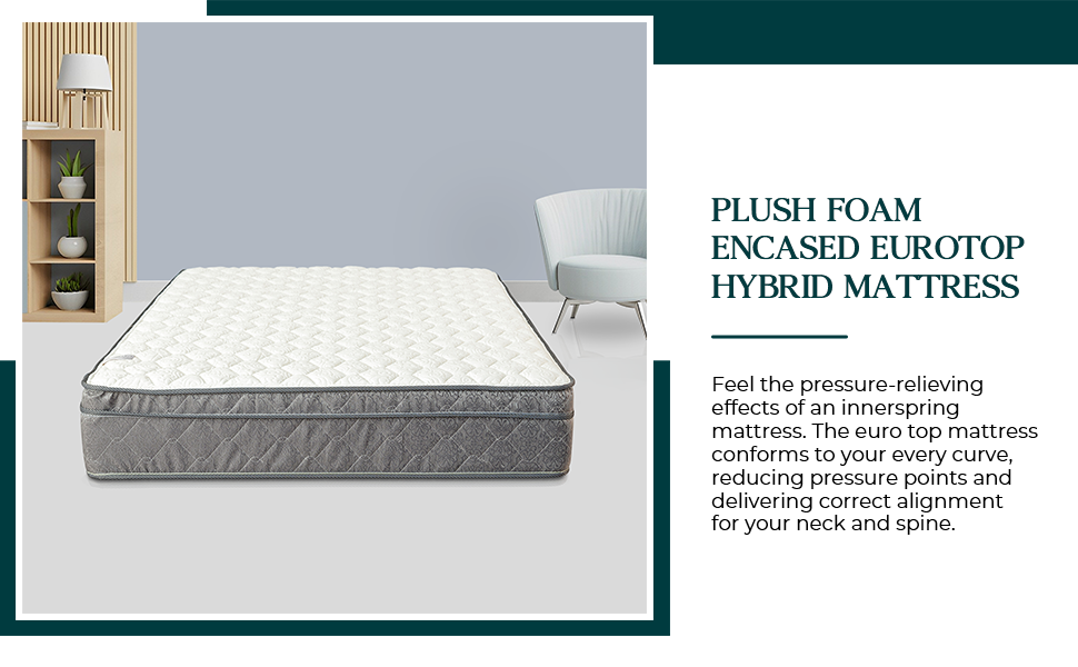 Greaton 10 Inch Foam Encased Mattress with Eurotop, Comfy