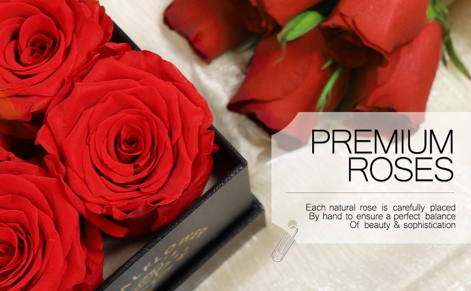 Amazon.com: TIANFU 16-Piece Forever Roses in a Box