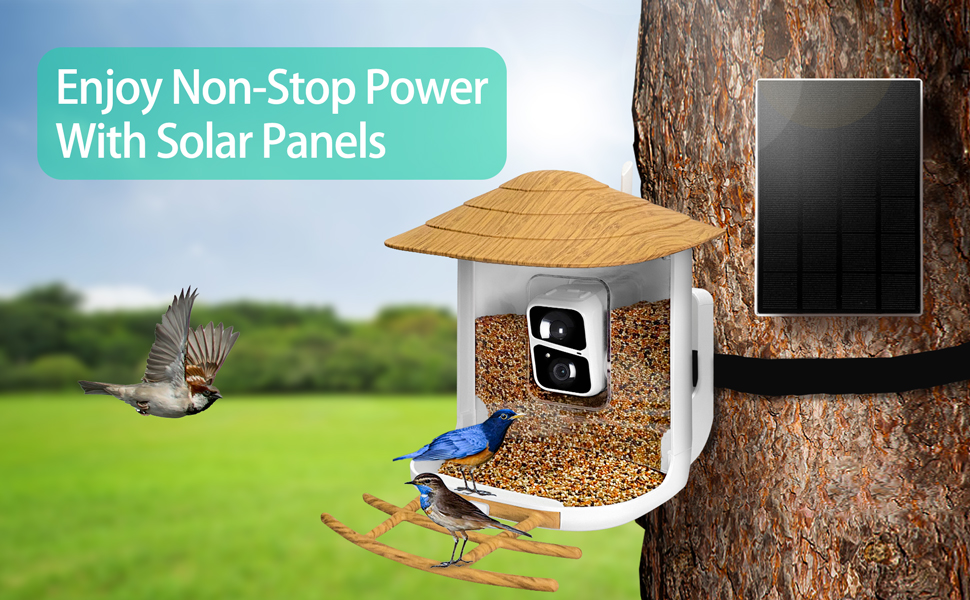 Smart Bird Feeder with Camera, Themoxia Bird Feeder Camera