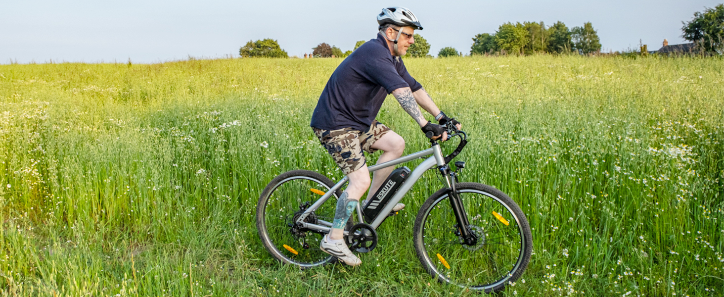 electric bike
