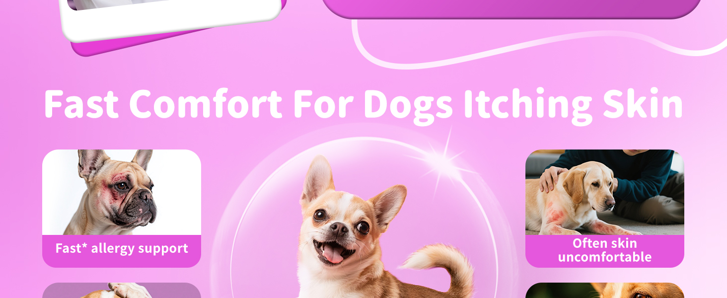 fast comfort for dogs itching skin
