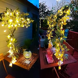 Globe String Lights Battery Powered