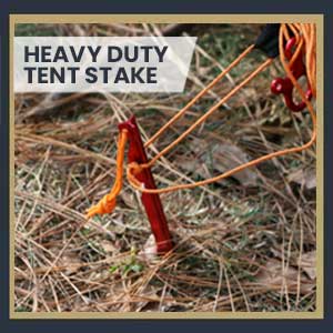 tent stake