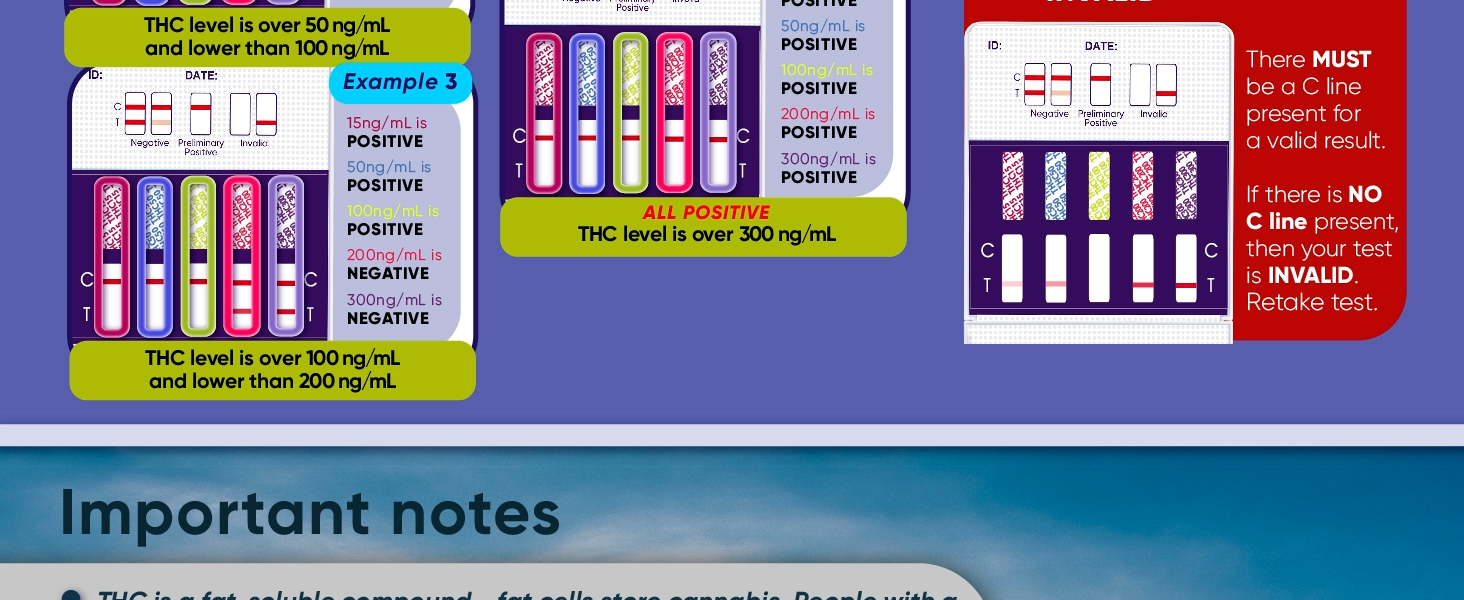 Large manufacture image 6