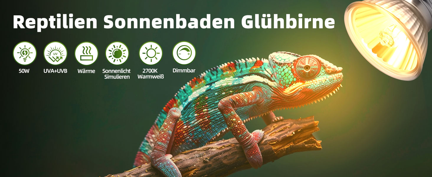 wärmelampe schildkröten 50w