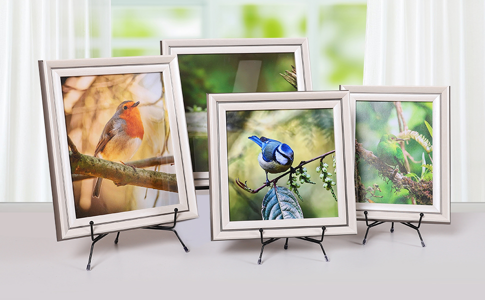 Plate Display Stands