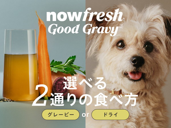 ドッグフード now fresh Good Gravy
