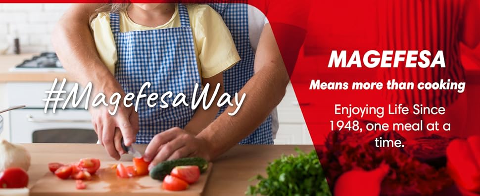 MAGEFESA