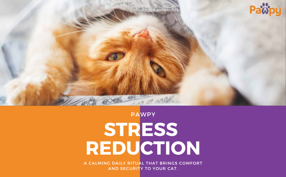 cat self groomer, easy, stress, cat, pet, groomer