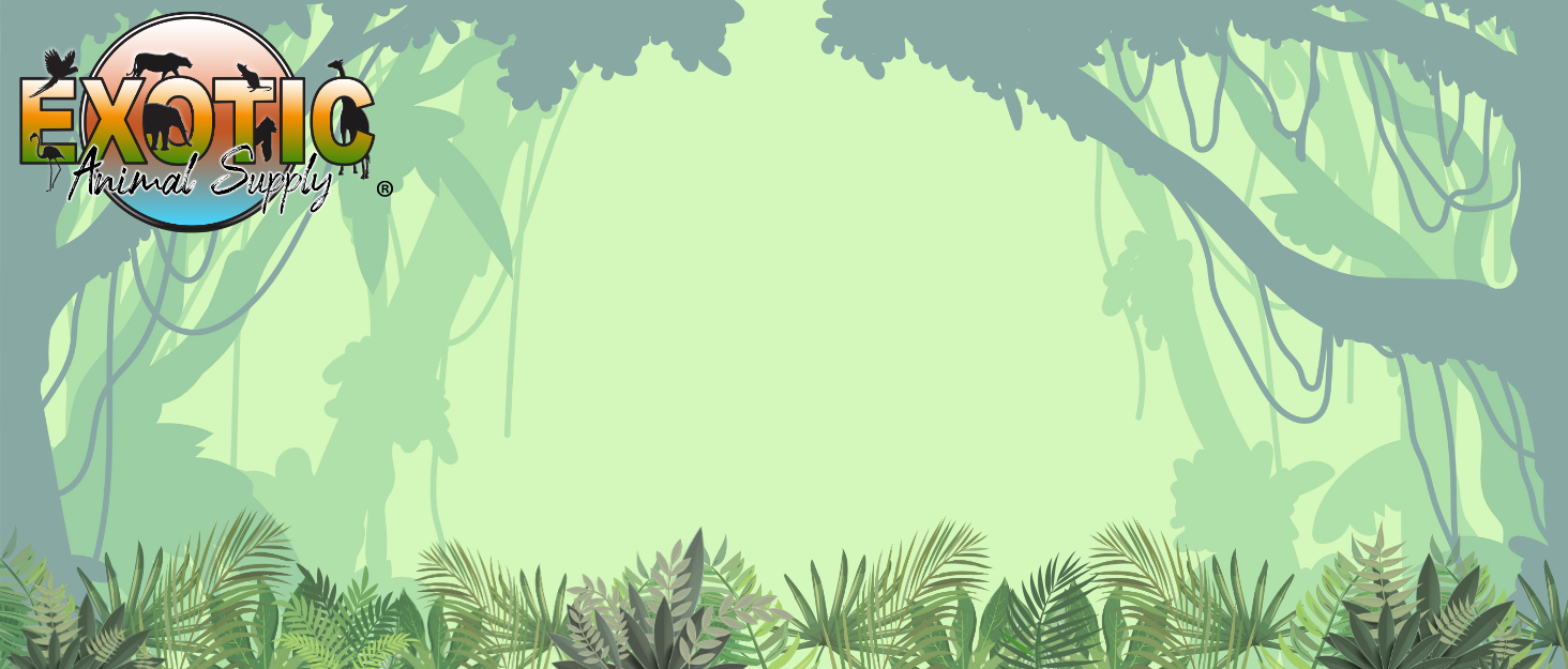 Exotic Animal Supply Logo in the center with a jungle background