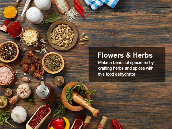 Flowers & Herbs