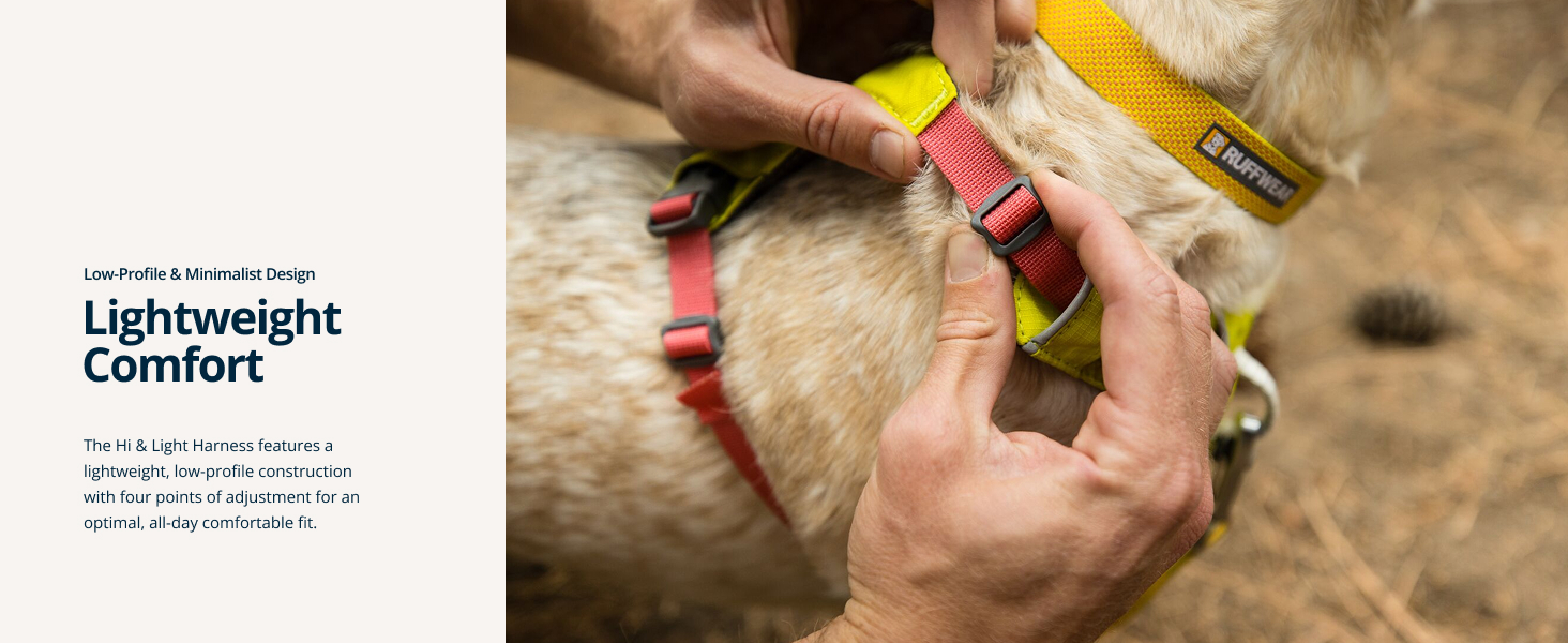 Puppy harness for small dogs, breathable and streamlined for freedom during early training.