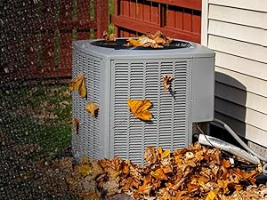 Full Protection from Leaves