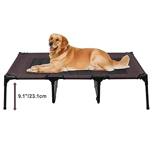 Amazon.com: BRIAN & DANY 48