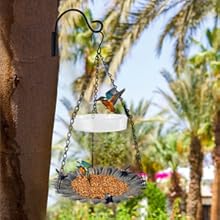 Bird Bath Tray